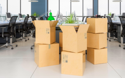 Behind the Scenes with Man in Van in Bristol: Two Recent Home Removals