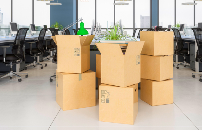 Behind the Scenes with Man in Van in Bristol: Two Recent Home Removals